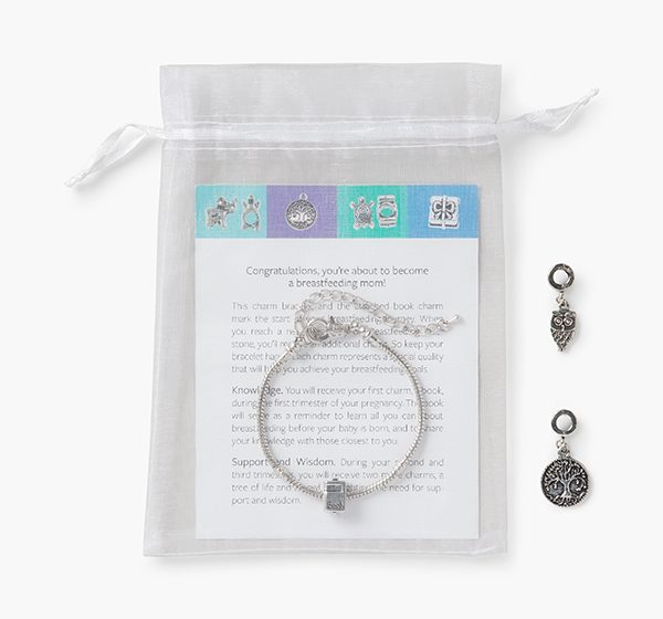 Breastfeeding Milestones Bracelet | Starter Kit